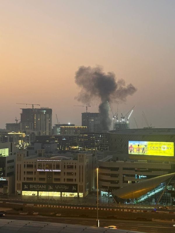 ���������������� ������� ������ �������� ������ � �����