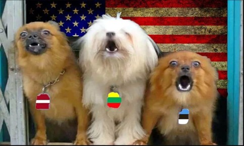 ������ ��������: ����� ����� �� ������������ ����� � �������������������