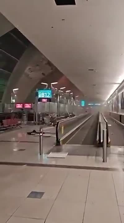 "�����" �������� ������������� �������� �����