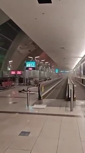 "�����" �������� ������������� �������� �����