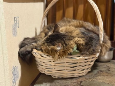 ���� ���������: � ������������� ���� �����!