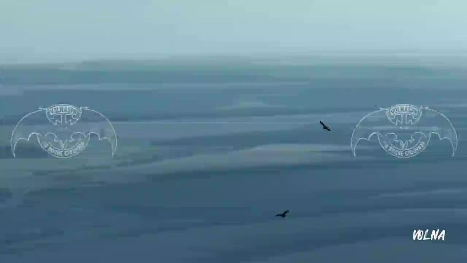 ����������, ������, ������� ����� ����� ��������� � ���� ���������!