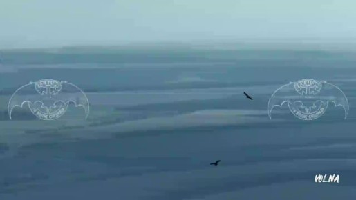 ����������, ������, ������� ����� ����� ��������� � ���� ���������!