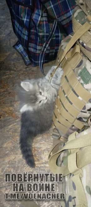 Доброе утро