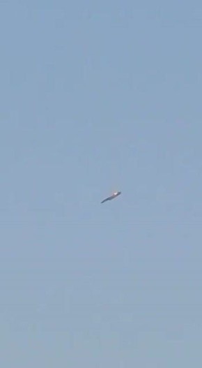 Над Кувейтом были сбиты несколько американских истребителей, все члены экипажа выжили, сообщает Al Jazeera со ссылкой на Минобороны