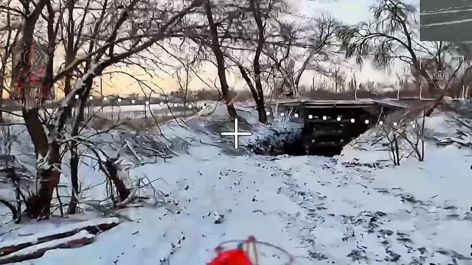 �������� ��� ��������. ����� � ����������� ������� - ����������� ������� ������ ��� ����� ������� ��������