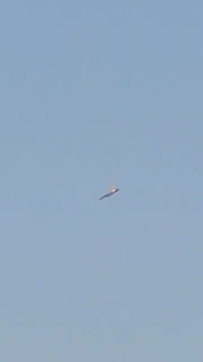 ������������ ����������� �������� �������� � �������