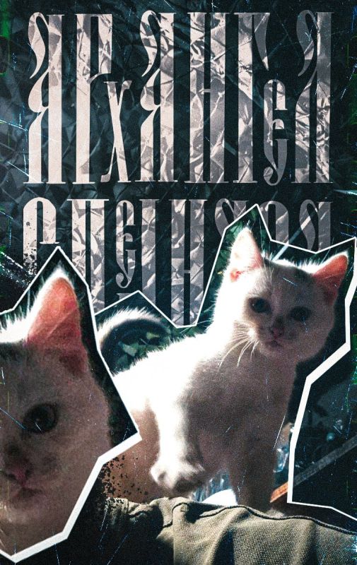 ������� ����, ������!. ���� �������, ��������, ���� ������, ��� ���� ��� � ��� ���������, �������� ������ � ����� �������, ������ � ������� � ��, � ������ �� �� ������ ������, � �����, ����, ���� ��� �������� ��������!...