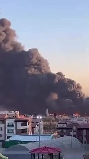 ���������-����������� ���� ��������� �������� �������� � ��������