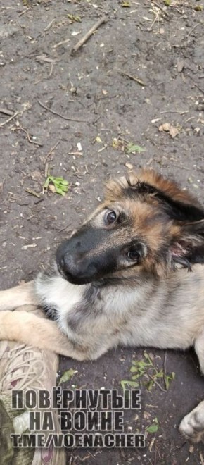 ������ ����