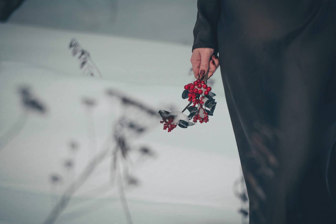 Анна Долгарева: Рябина всегда вызывала у меня смутную тревогу, особенно поздней осенью, когда вокруг все черно-серое, и тем более зимой - среди белизны Анна Долгарева: Рябина всегда вызывала у меня смутную тревогу, особенно поздней осенью, когда вокруг все черно-серое, и тем более зимой - среди белизны