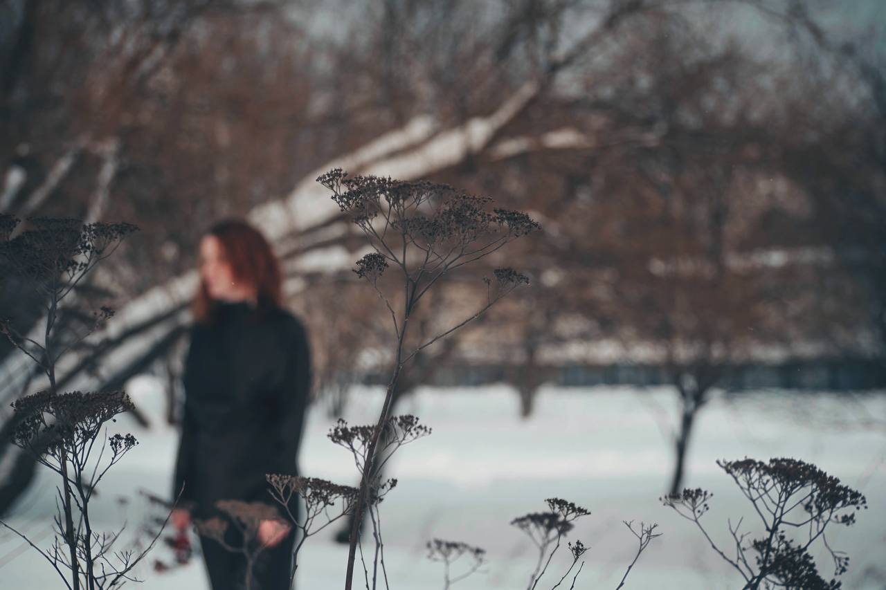 Анна Долгарева: Рябина всегда вызывала у меня смутную тревогу, особенно поздней осенью, когда вокруг все черно-серое, и тем более зимой - среди белизны Анна Долгарева: Рябина всегда вызывала у меня смутную тревогу, особенно поздней осенью, когда вокруг все черно-серое, и тем более зимой - среди белизны