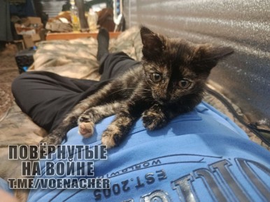 ������ ����