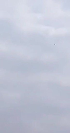 ��������� ����� ������ "��������" ������-���������, ����� ���������� ������ �� ���������� ��������� ���������������� ����������, ����� �� ������� Telegram-�������