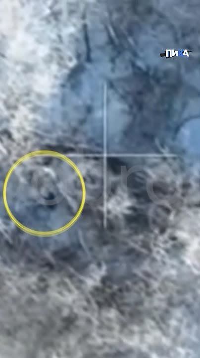 Разведка бригады «Север-V» Добровольческого корпуса ликвидировала группу боевиков ВСУ севернее Часова Яра