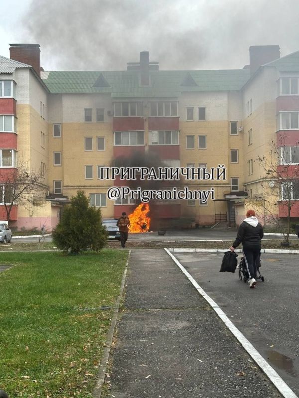 «Я боюсь выходить даже во двор, я хочу нормальной еды, я устала от всего, я если выхожу в магазин, я прощаюсь со своей любимой кошечкой, но все же ей обещаю вернуться, я ведь понимаю, что я могу погибнуть»