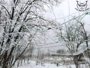 ��������� �������. #�������_���