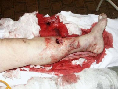 ������ �������: ������������ ��������� �������;