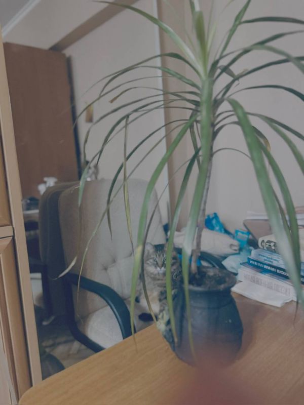 Анна Долгарева: Это мой новый друг Николай Степанович