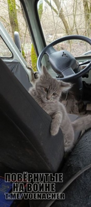 ������ ����