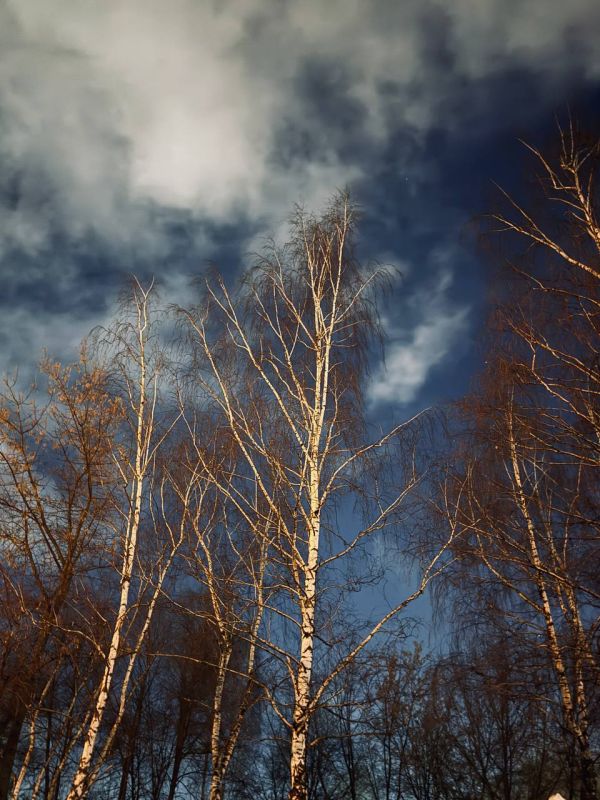 ���� ���������: ����, ����� �������, ����� � ���� ��� ����������