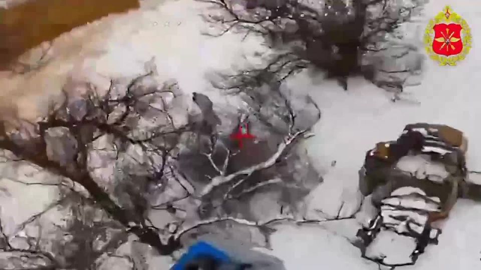 ��������� ���������: ����������� �������� ���, ���, ��� ������ ����� �����������