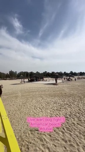 ������ F-16 ��� �� �������� Shahed ��� ��������� ������