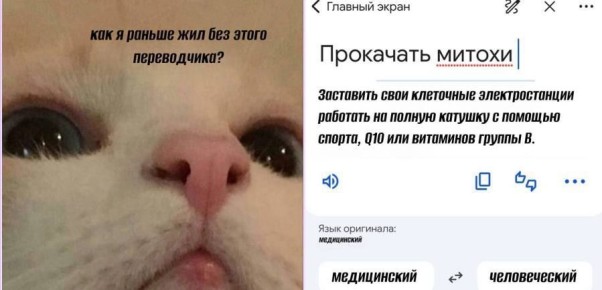 ���� ���������: ���� �� ������ ��������� ���� ����������� IQ �� �����, ������ �� ����� ������ ��� �� ����������� �������!