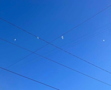 ������ ������ ��� ����������, � ����� ��������� ��� ��� ����� �����