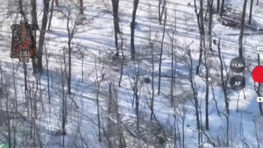 ������ ����. ������ ������ ������ ����� ������� � �������� ��� ���� � �������, � �� �� ����� ����� ������� ���� ����