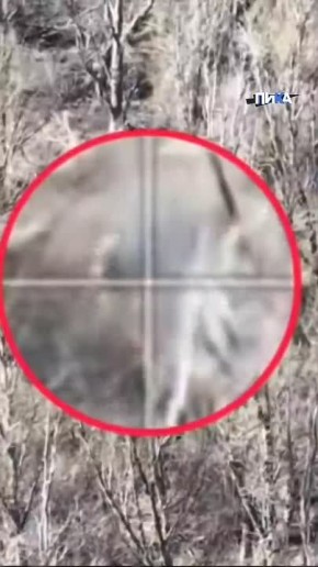 ����� ���������������-��������� ������� "�����" ���������������� ������� �������� ������� �����������