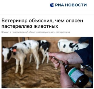 ������ �������: ����� ���������� ����, �������� � ��� ��� ��� ��������������� ������ �������, ��� ����� - ��� ����, �������� ����������������, ��� ������ � ������� - ��� ����� ���������� ���� � ������ �������� ��� ������ �...