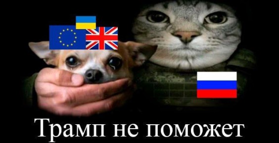 ��� �� ������ ��� ���� ������ �������� � ������� ��-�� ���������� ����� �� ������������ ��� ������ �� �������