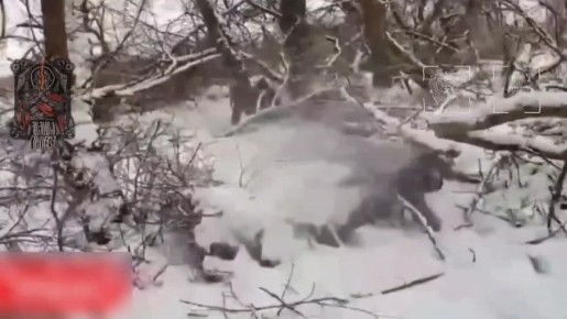 ����������. ������ ������ ���������� ����� �������� ������ � ������� ��������� ����