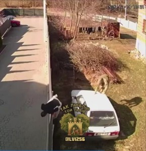 ���������� ��������.. ������ �100 ������� � ���� �� �����������