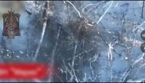 ������ ��������.. ��� �������� ����� ������ ������� �������� �� ������ � ����������� ����������. � ���� ���������� �� ������� �� �� ������ �����